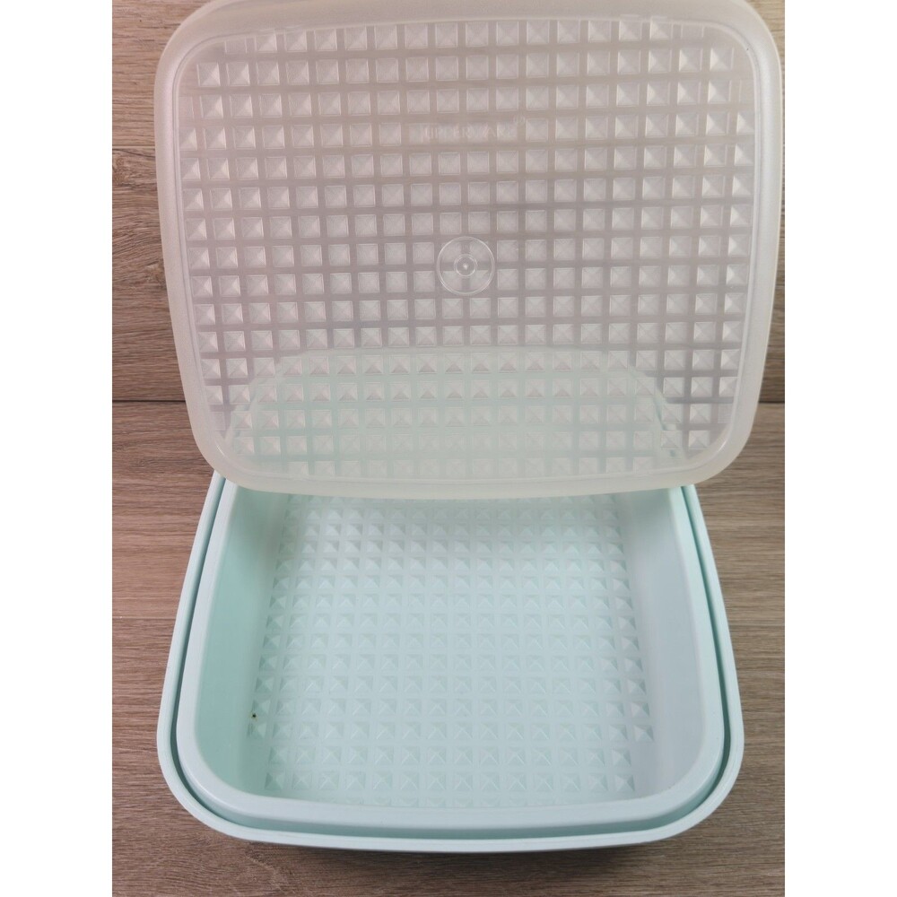 TUPPERWARE Meat Marinade Teal Blue Container With Clear Lid
